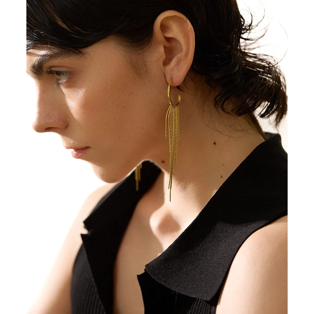 Yhpup-Brincos Dangle Longos Borla para Mulheres, Encantos de Metal, Jóias de Aço Inoxidável Impermeável, Cor Dourada, PVD, Fashion Party,Brincos Longos Femininos,
Acessórios Sofisticados para Festas,
Brincos em Aço Inoxidável com Ouro,
Joias Modernas e Elegantes,
Brincos de Borla Leves e Confortáveis,
Presentes para Mulheres Estilosas,
Brincos de Alta Durabilidade,
Brincos Dourados e Prateados Femininos,