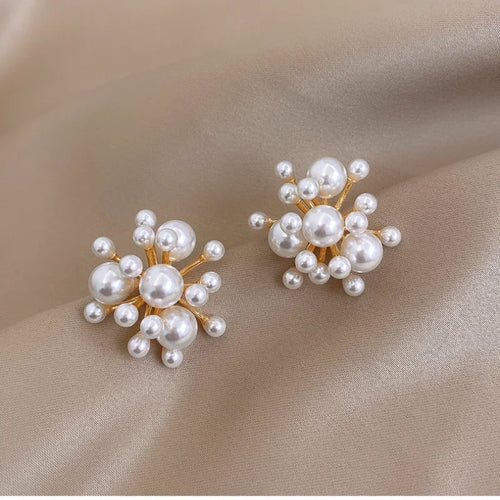 Novo temperamento pérola personalidade fogos de artifício brincos moda requintado net celebridade elegante tendência design brincos para mulher, Brincos de pérola modernos femininos,
Brincos sofisticados para festas,
Acessórios femininos com pérolas brilhantes,
Brincos trendy com design exclusivo,
Brincos femininos inspirados em fogos de artifício,
Brincos leves e confortáveis para eventos,
Acessórios elegantes com pérolas e cobre,
Brincos femininos forma irregular,
Brincos para ocasiões formais e casuais,